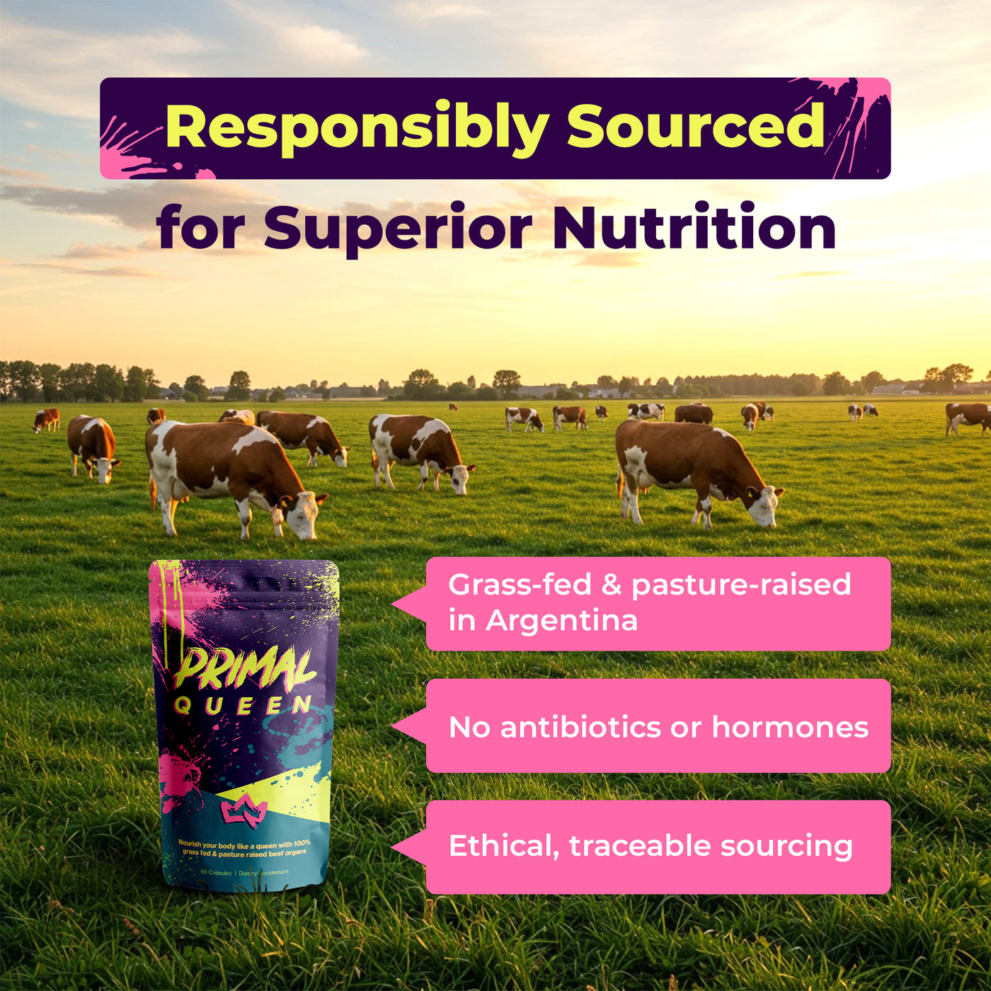 Primal Queen Female-Optimized Beef Organ Superfood Supplement